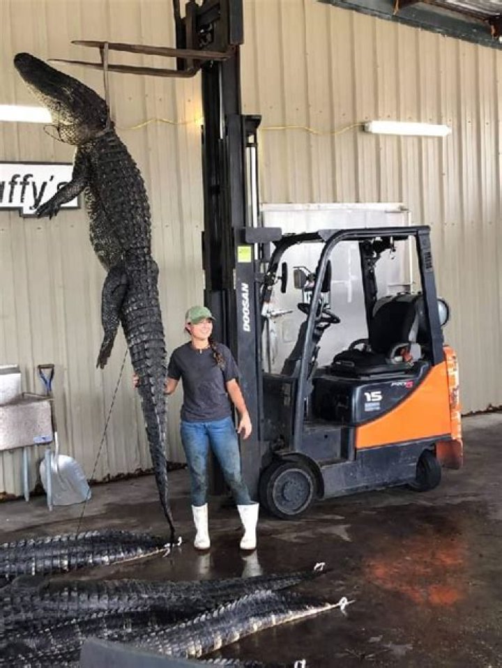 
Corinnas Cameraroll Height, Weight, Net Worth, Age, Birthday, Wikipedia, Who, Nationality, Biography 