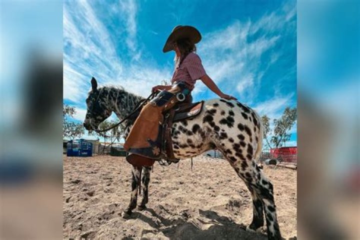 Emmie Sperandeo GoFundMe: Fundraiser raises over $135,000 for severely injured western photographer