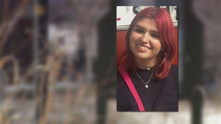 
Where was Julian Sands last seen? Human remains reportedly found in search for missing British actor 