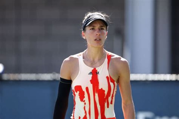 Who Is Andrea Petkovic Boyfriend Jesse Kotansky? The German Tennis Player Is Retiring After The US Open
